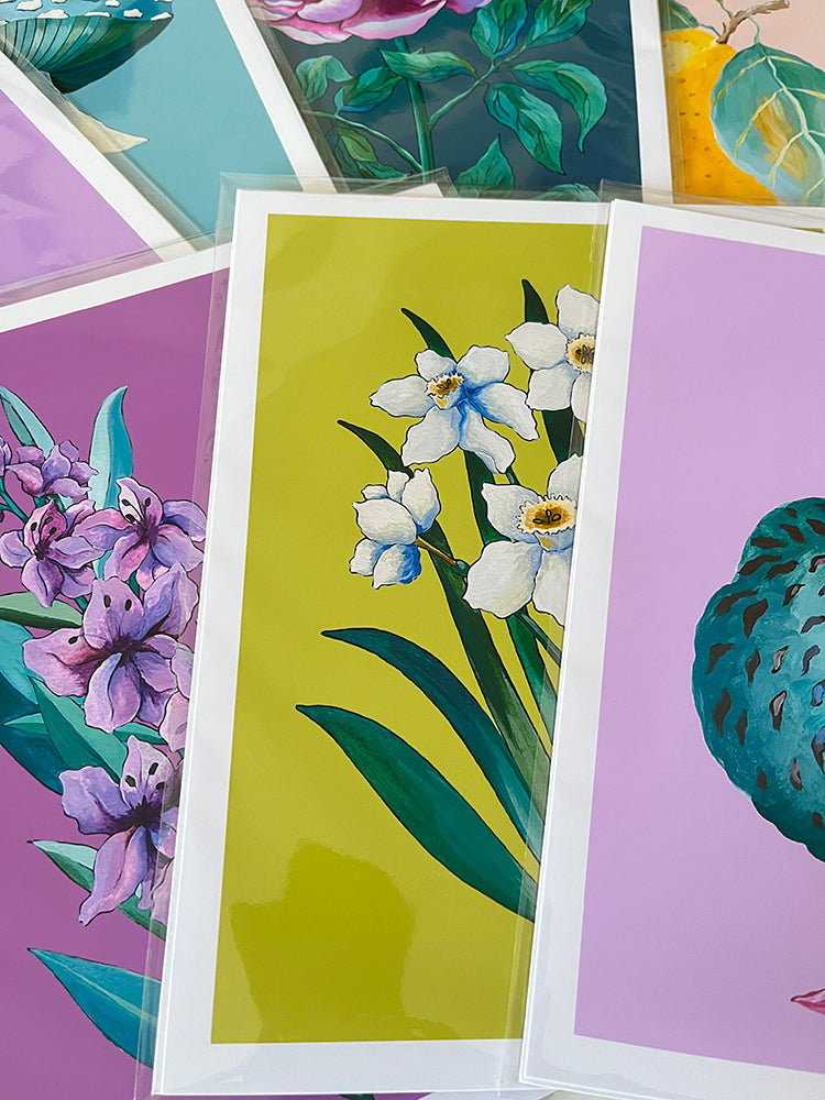 "Narcissus" | art print