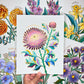 Birth Flower Hand-Embellished Print | November Chrysanthemum