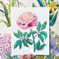 Birth Flower Hand-Embellished Print | November Peony
