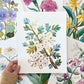 Birth Flower Hand-Embellished Print | May Hawthorns