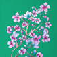 "Cherry Blossoms" | art print