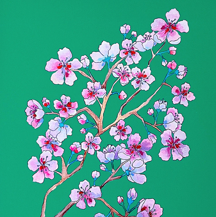 "Cherry Blossoms" | art print