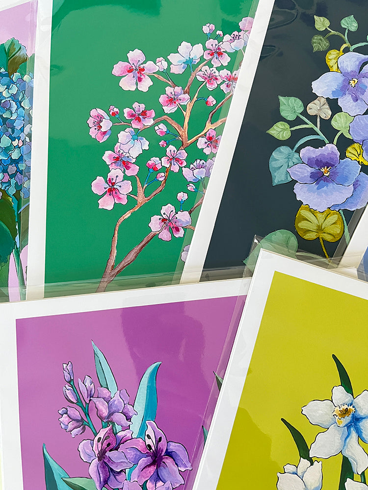 "Cherry Blossoms" | art print