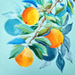 "Citrus Study" | art print