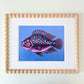 "Frankie" | art print