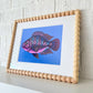 "Frankie" | art print