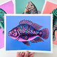 "Frankie" | art print