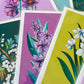 "Gladiolus" | art print
