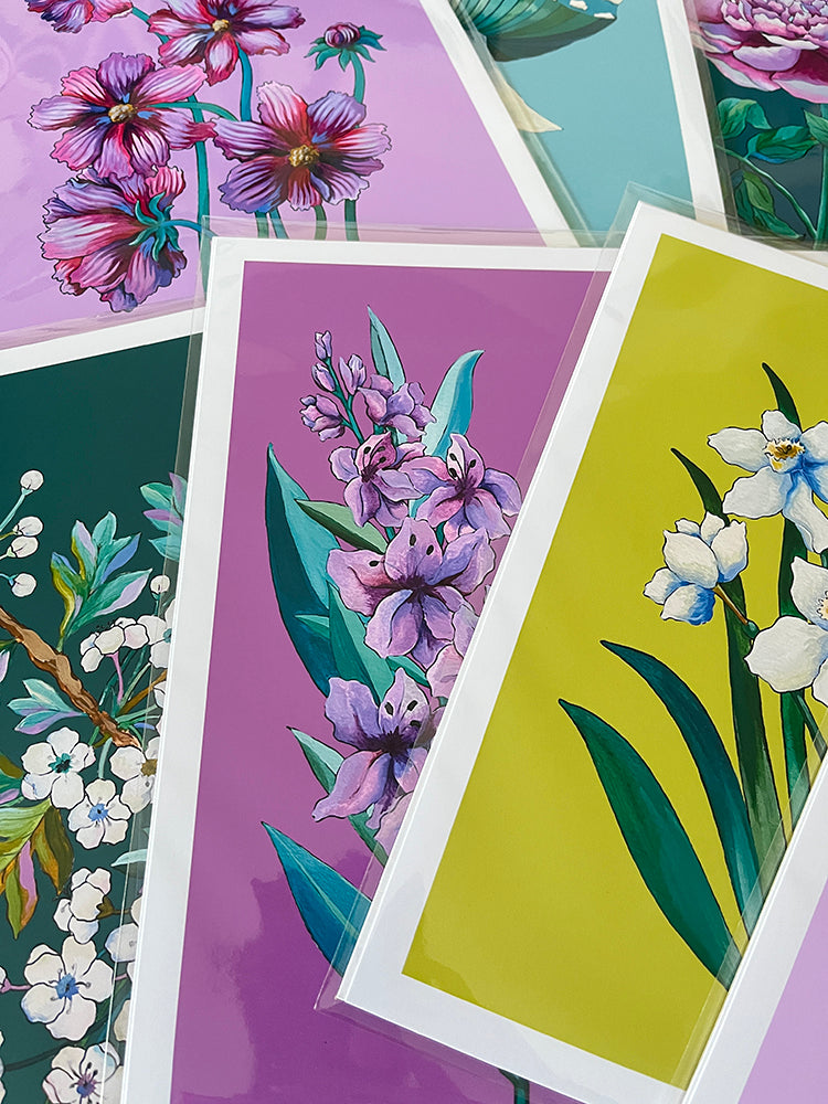 "Gladiolus" | art print