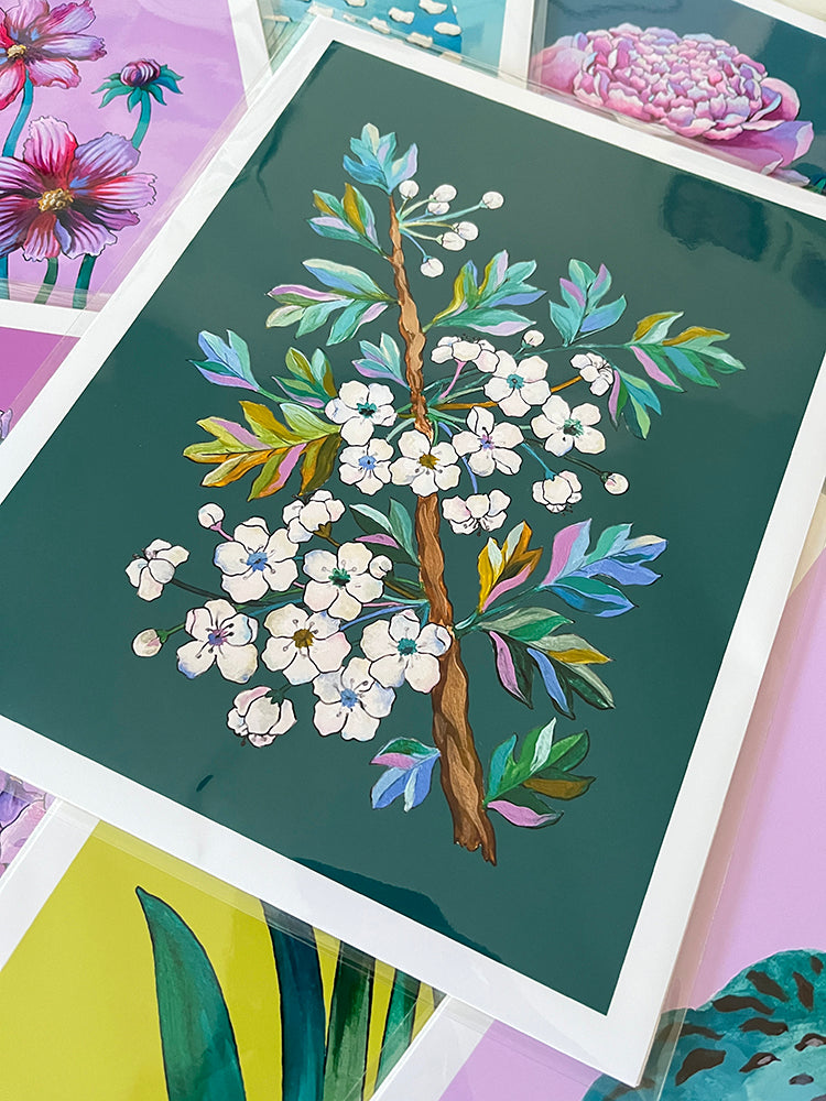 "Hawthorn" | art print