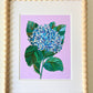 "Hydrangea" | art print