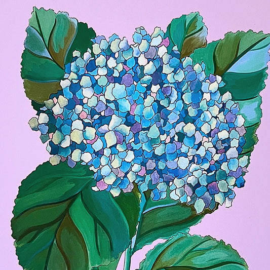 "Hydrangea" | art print