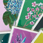 "Hydrangea" | art print