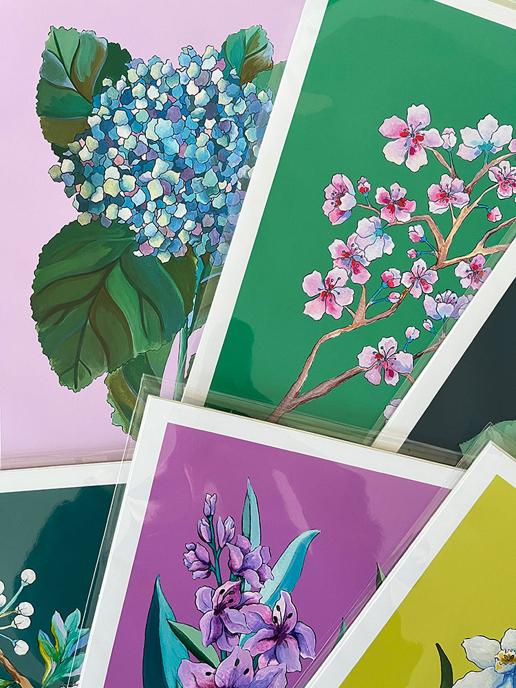 "Hydrangea" | art print