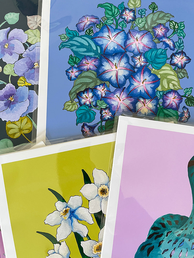 "Morning Glory" | art print