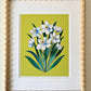 "Narcissus" | art print