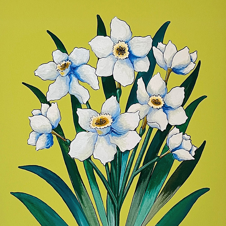 "Narcissus" | art print