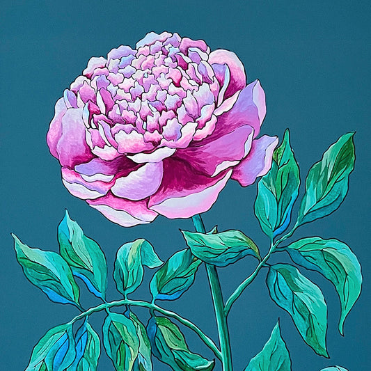 "Peony" | art print