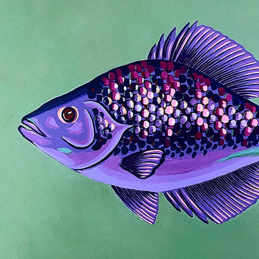 “Percy” | art print