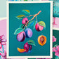 "Plum Study" | art print