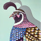 “Quincy Quail” | art print