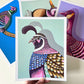 “Quincy Quail” | art print