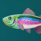 "Rainbow Trout" | art print