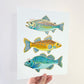"Gill Gang" | hand-embellished art print