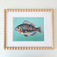 "Wally" | art print