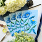 "Take Me to Nantucket" Greeting Cards | Set of 4